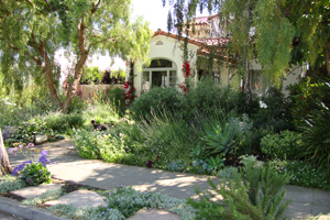 Professional Landscape Design